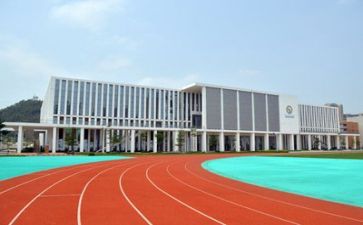 学校师德师风工作总结小学5篇
