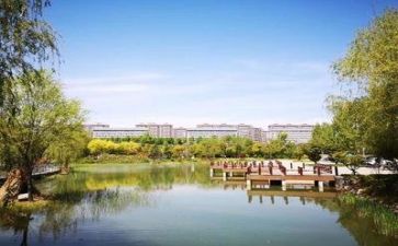 学校教师培训工作总结2022精选5篇