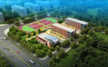 农村小学校长个人工作总结6篇
