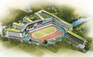 学校心得体会300精选6篇