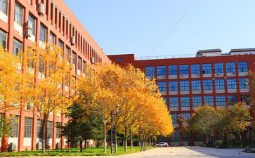 学校大会讲话稿5篇