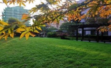 学校2023年3月计划6篇