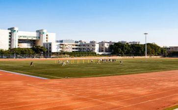 在学校个人主要事迹7篇
