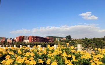 学校调研报告8篇