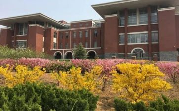 中心学校工作计划2022年7篇