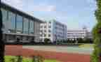 学校2024年语言文字工作总结5篇