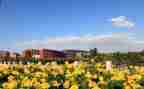 2023学校环保工作总结5篇