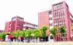 学校计划工作总结优质7篇