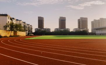 初中学校体育工作计划6篇