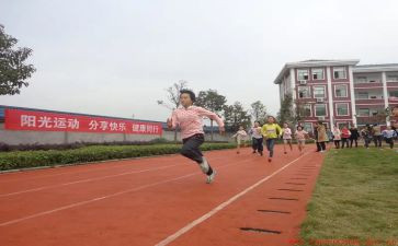 学校体育处工作计划6篇