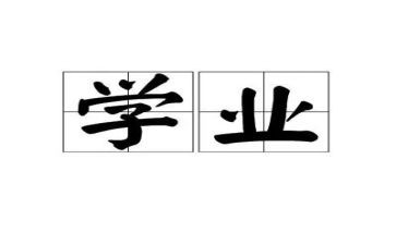小学业务述职报告8篇