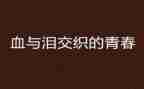 血与泪的呼吸心得体会6篇