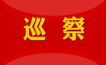 被巡察村的汇报材料8篇