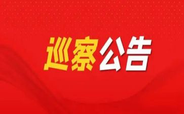 巡察组干部工作总结6篇