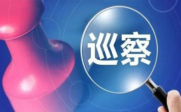 巡查队工作总结8篇