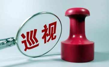 巡查自查报告优秀8篇