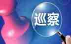 巡查队工作总结8篇