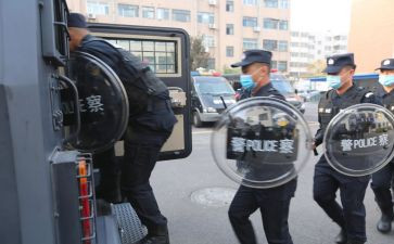特巡警年工作总结8篇