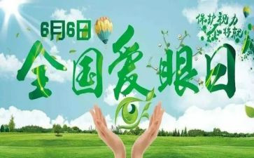 全国爱眼日主题活动总结精选8篇