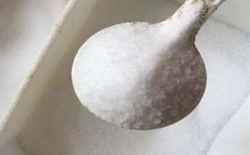 盐文化作文600字5篇