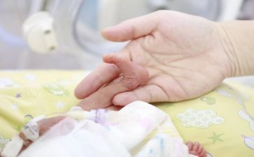 幼儿中班蚕宝宝教案8篇