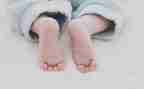 幼儿园宝宝班数学教案最新6篇