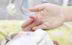 幼儿中班蚕宝宝教案8篇