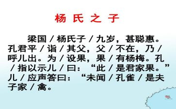 《杨氏之子》教案8篇