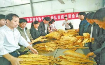 2023年试验员工作总结最新6篇
