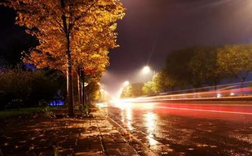 大学生熬夜调研报告8篇