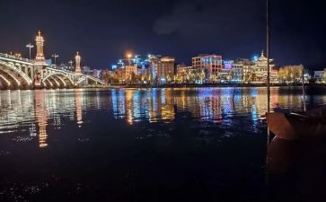 雨夜的猫读后感5篇