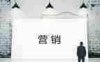 日营销工作总结范文最新6篇