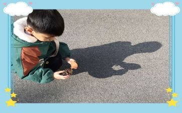 幼儿园科学找影子教案8篇