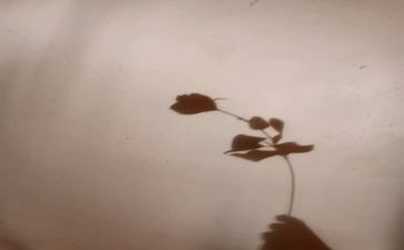 幼儿园科学活动影子教案6篇
