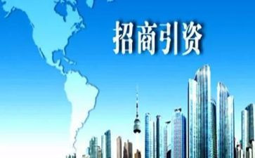 招商引资个人总结6篇