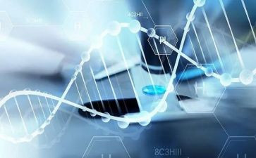 医学生调查报告6篇