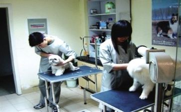 医院收费处工作总结2022精选4篇