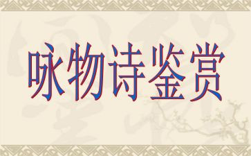 咏物作文600字7篇
