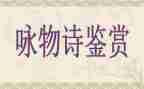 咏物作文600字7篇