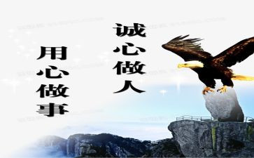 信息技术与应用心得体会优秀5篇