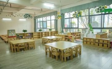 幼儿园中班上学期工作计划8篇