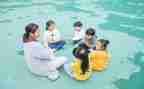 幼师求述职报告6篇
