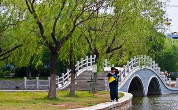 2024春节游园活动方案8篇