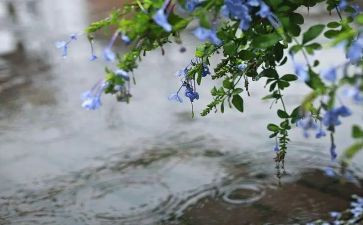 我和雨来的一天优秀作文7篇
