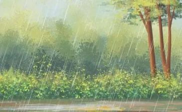 大雨小雨小班教案5篇