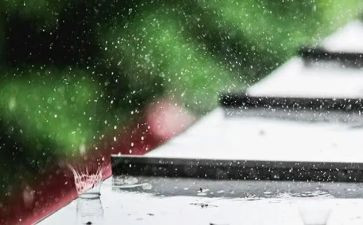 雨初中作文通用5篇