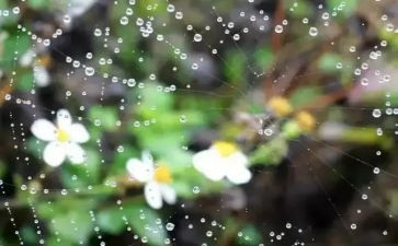 读英雄雨来读后感8篇