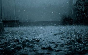 雨的感想读后感通用5篇