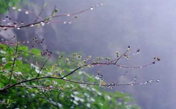 四季雨的作文500字作文7篇
