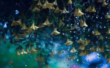 雨优秀作文推荐7篇